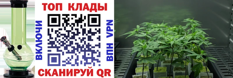 Цена Звенигово ГАШ  Альфа ПВП  Галлюциногенные грибы  МЕФ 
